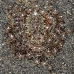 octopus_v_white_ta_hsb_r_v_0207_kom5194.jpg